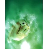 BUY NEW haruhiko mikimoto - 72859 Premium Anime Print Poster