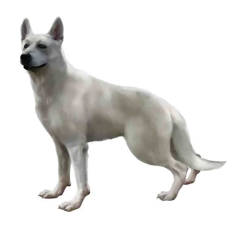 BUY NEW haunting ground - 115937 Premium Anime Print Poster haunting ground - 115937 image
