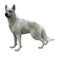 BUY NEW haunting ground - 115937 Premium Anime Print Poster