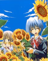 BUY NEW hayate the combat butler - 121446 Premium Anime Print Poster