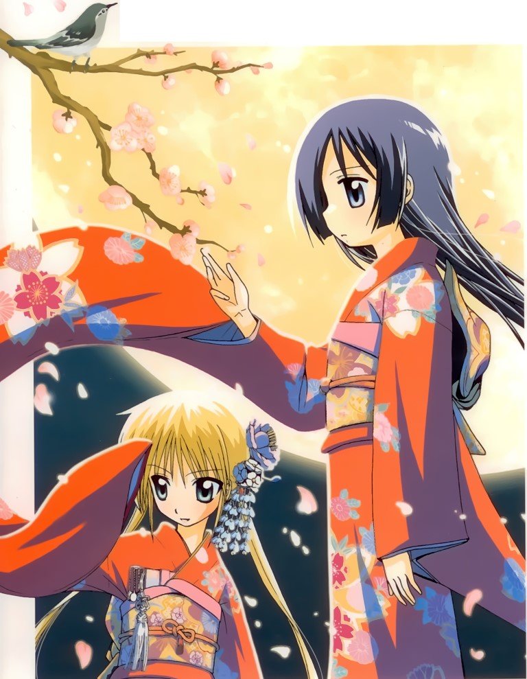 BUY NEW hayate the combat butler - 121632 Premium Anime Print Poster hayate the combat butler - 121632 image