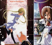 BUY NEW hayate the combat butler - 170030 Premium Anime Print Poster