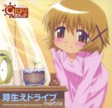 BUY NEW hidamari sketch - 112319 Premium Anime Print Poster