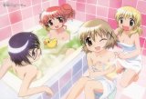 BUY NEW hidamari sketch - 116985 Premium Anime Print Poster