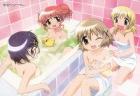 BUY NEW hidamari sketch - 116985 Premium Anime Print Poster