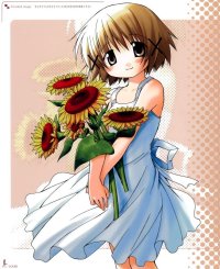 BUY NEW hidamari sketch - 119042 Premium Anime Print Poster