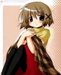 BUY NEW hidamari sketch - 119186 Premium Anime Print Poster