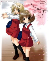 BUY NEW hidamari sketch - 119190 Premium Anime Print Poster