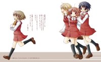 BUY NEW hidamari sketch - 119970 Premium Anime Print Poster