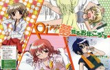 BUY NEW hidamari sketch - 123115 Premium Anime Print Poster