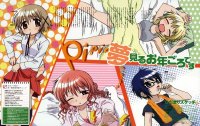 BUY NEW hidamari sketch - 123115 Premium Anime Print Poster