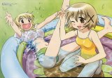 BUY NEW hidamari sketch - 126001 Premium Anime Print Poster