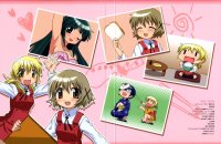 BUY NEW hidamari sketch - 150492 Premium Anime Print Poster