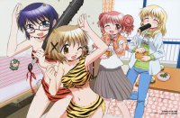 BUY NEW hidamari sketch - 164878 Premium Anime Print Poster