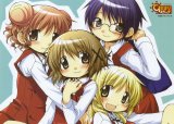BUY NEW hidamari sketch - 177468 Premium Anime Print Poster