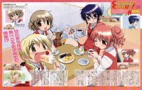 BUY NEW hidamari sketch - 179648 Premium Anime Print Poster