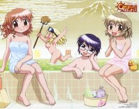 BUY NEW hidamari sketch - 188670 Premium Anime Print Poster