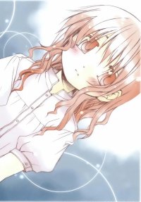 BUY NEW hidamari sketch - 189432 Premium Anime Print Poster