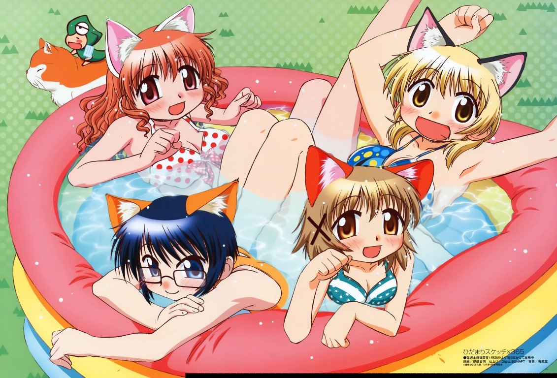 BUY NEW hidamari sketch - 194206 Premium Anime Print Poster hidamari sketch - 194206 image