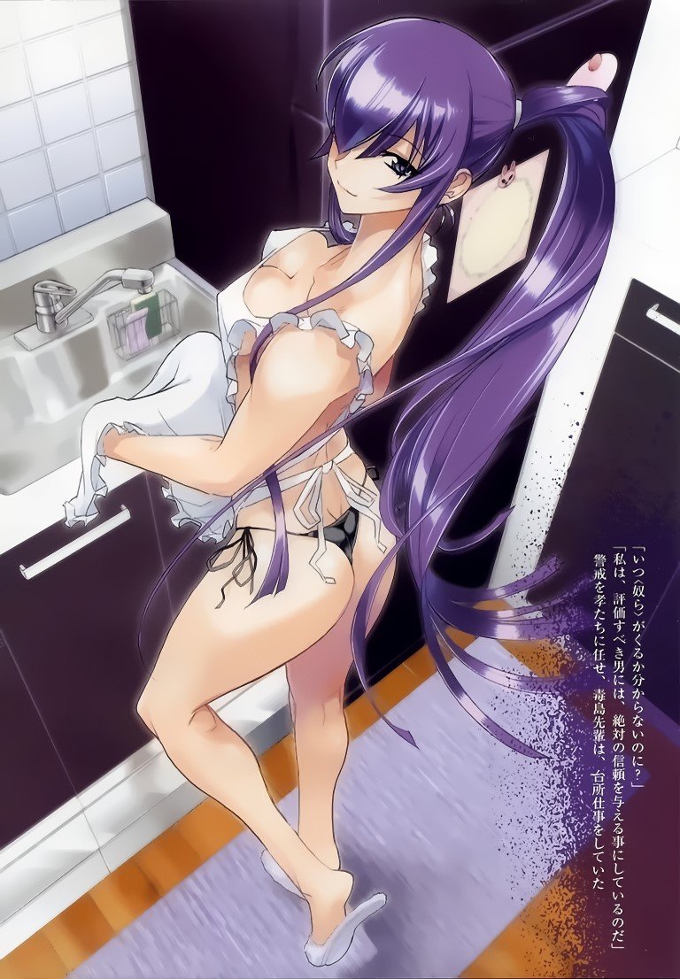 BUY NEW high school of the dead - 118503 Premium Anime Print Poster high school of the dead - 118503 image