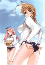BUY NEW high school of the dead - 122610 Premium Anime Print Poster