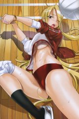 BUY NEW high school of the dead - 150295 Premium Anime Print Poster
