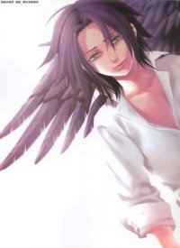 BUY NEW hiiro no kakera - 187793 Premium Anime Print Poster