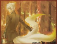 BUY NEW hiiro no kakera - 187899 Premium Anime Print Poster