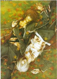 BUY NEW hiiro no kakera - 188117 Premium Anime Print Poster