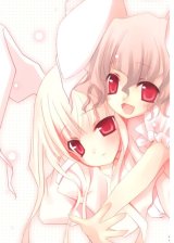 BUY NEW hinayuki usa - 147980 Premium Anime Print Poster