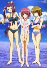 BUY NEW hitohira - 118552 Premium Anime Print Poster