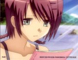 BUY NEW hitohira - 142445 Premium Anime Print Poster