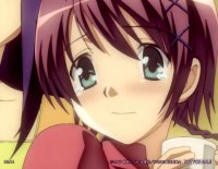 BUY NEW hitohira - 142489 Premium Anime Print Poster
