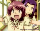 BUY NEW hitohira - 147755 Premium Anime Print Poster