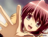 BUY NEW hitohira - 155777 Premium Anime Print Poster