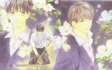BUY NEW honami yukine - 173838 Premium Anime Print Poster
