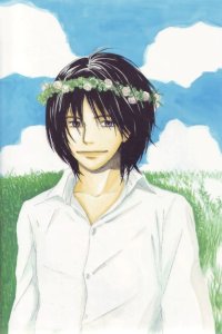 BUY NEW honey and clover - 129247 Premium Anime Print Poster