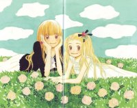 BUY NEW honey and clover - 156887 Premium Anime Print Poster