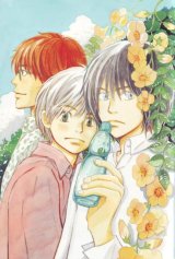 BUY NEW honey and clover - 167170 Premium Anime Print Poster