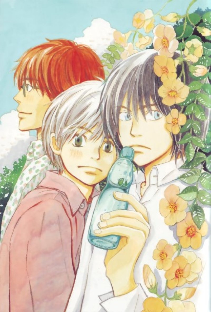 Buy honey and clover 167170