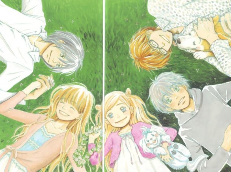 Buy honey and clover 176524