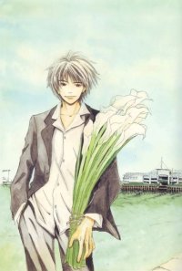 BUY NEW honey and clover - 176587 Premium Anime Print Poster