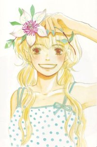 BUY NEW honey and clover - 176624 Premium Anime Print Poster