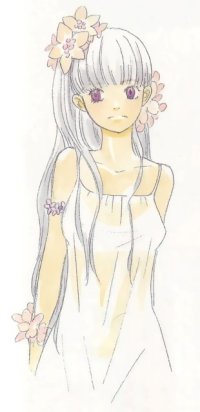 BUY NEW honey and clover - 177225 Premium Anime Print Poster