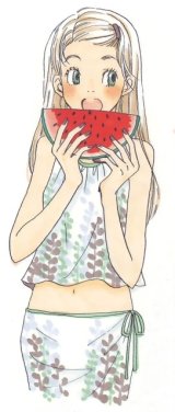BUY NEW honey and clover - 177228 Premium Anime Print Poster