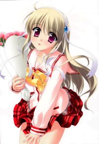 BUY NEW honey coming - 184753 Premium Anime Print Poster