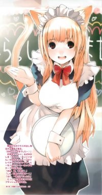 BUY NEW houden eizo - 114217 Premium Anime Print Poster