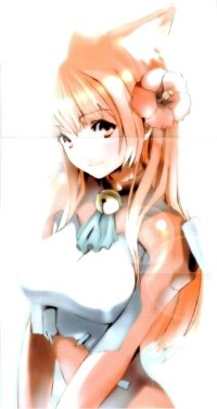 BUY NEW houden eizo - 131119 Premium Anime Print Poster