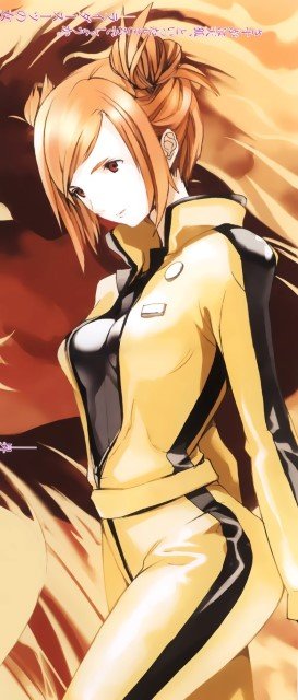 BUY NEW houden eizo - 134361 Premium Anime Print Poster houden eizo - 134361 image