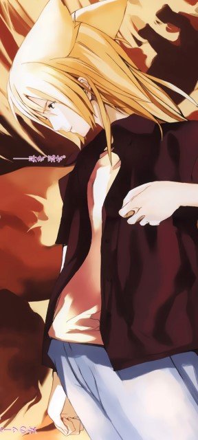 BUY NEW houden eizo - 134362 Premium Anime Print Poster houden eizo - 134362 image